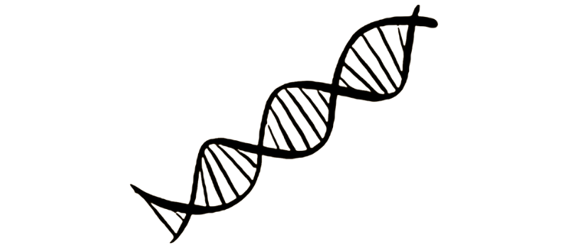 dna streng