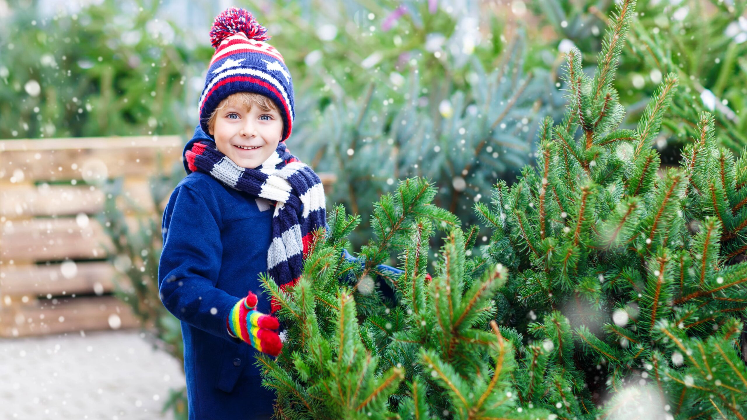 Verkoop kerstbomen om geld op te halen voor ALS