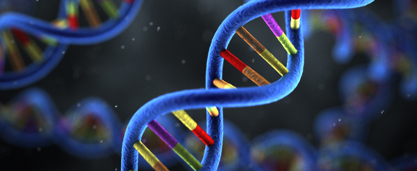 DNA streng gevisualiseerd